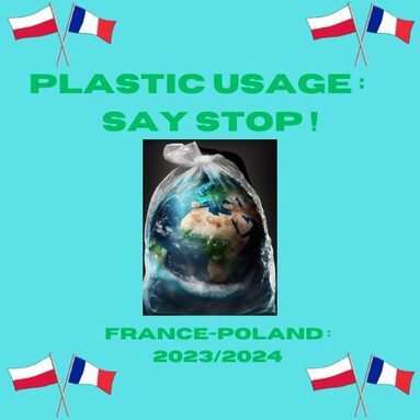 say stop to plastic pollution.jpg